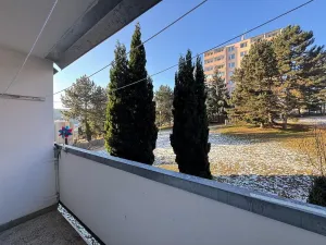 Prodej bytu 1+1, Brno - Kohoutovice, Prokofjevova, 36 m2