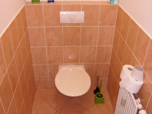 Pronájem bytu 2+kk, Vysoké Mýto - Pražské Předměstí, Mánesova, 66 m2