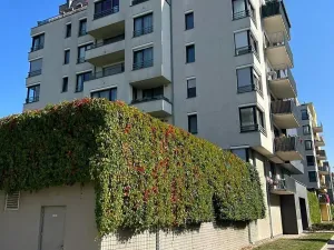 Prodej bytu 2+kk, Praha - Vysočany, Sousedíkova, 50 m2