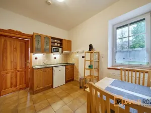 Prodej bytu 1+1, Černý Důl, 24 m2