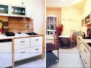 Pronájem pokoje, Praha - Nové Město, Charvátova, 41 m2