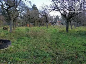 Prodej pozemku pro bydlení, Luleč, 1298 m2