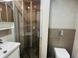 Pronájem bytu 1+kk, Olomouc, Frištenského, 32 m2