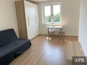 Pronájem bytu 1+kk, Vlčnov, 33 m2