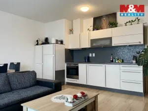 Pronájem bytu 2+kk, České Budějovice - České Budějovice 2, Na Zlaté stoce, 52 m2