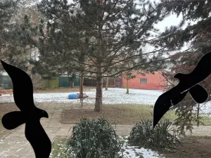 Pronájem pokoje, Olomouc, Přichystalova, 65 m2