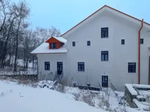 Pronájem bytu 2+kk, Peruc, U Koupaliště, 54 m2