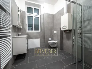 Pronájem bytu 3+kk, Teplice, Pražská, 44 m2