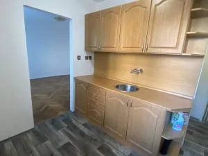 Pronájem bytu 1+1, U Zámeckého parku 840, 43601 Litvínov, 30 m2