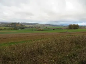 Dražba pole, Mochtín, 38121 m2