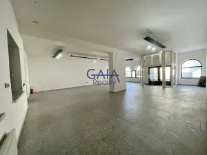 Pronájem obchodního prostoru, Veselí nad Moravou, Zámecká, 184 m2