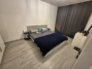 Pronájem bytu 2+kk, Plzeň, Na Jíkalce, 58 m2