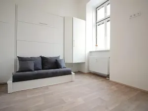 Pronájem bytu 1+kk, Brno, Koliště, 26 m2