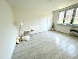 Pronájem bytu 2+1, Karviná - Ráj, Haškova, 54 m2