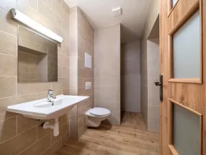 Pronájem bytu 2+kk, Plzeň, Dvorní, 43 m2