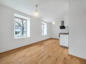 Pronájem bytu 2+kk, Plzeň, Dvorní, 43 m2