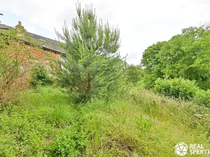 Prodej rodinného domu, Letovice, 190 m2