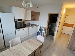 Pronájem bytu 1+1, Teplice, Antala Staška, 35 m2