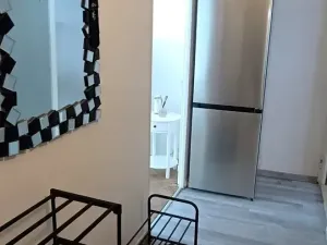 Pronájem bytu 1+1, Přerov, Velká Dlážka, 39 m2