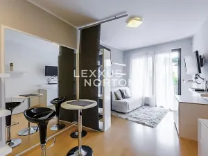 Pronájem bytu 1+kk, Praha - Smíchov, Jeřabinová, 33 m2