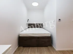 Pronájem bytu 1+kk, Praha - Karlín, Křižíkova, 32 m2