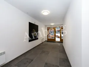Pronájem bytu 1+kk, Praha - Karlín, Křižíkova, 32 m2