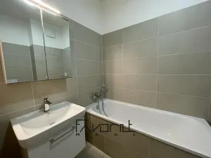 Pronájem bytu 2+kk, Ostrava, Hasičská, 153 m2