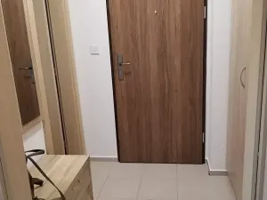 Pronájem bytu 1+kk, Hodonín, 45 m2