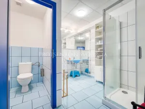 Prodej rodinného domu, Batelov, Třešťská, 490 m2