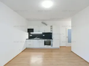 Pronájem bytu 2+kk, Praha - Holešovice, V závětří, 44 m2