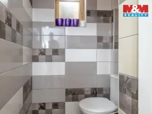 Prodej rodinného domu, Písek - Budějovické Předměstí, Tyršova, 315 m2