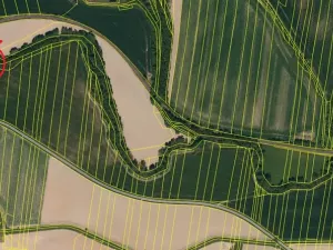 Prodej lesa, Dolní Životice, 2675 m2