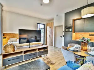 Prodej bytu 1+kk, Černý Důl, 39 m2