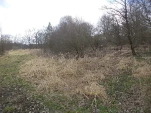 Prodej pozemku, Novosedly nad Nežárkou, 6591 m2