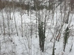 Prodej bytu 2+kk, Teplice, Pražská, 40 m2