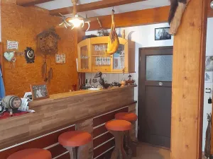 Prodej ubytování, Horní Vltavice, 970 m2