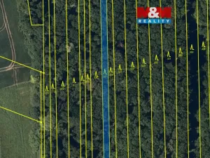 Prodej lesa, Roštění, 947 m2