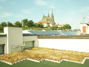 Pronájem bytu 1+1, Brno, Hybešova, 20 m2