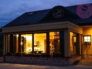 Prodej restaurace, Ludgeřovice, Hlučínská, 309 m2