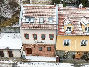 Pronájem ubytování, Valtice, Josefská, 251 m2