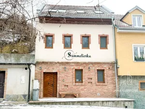 Pronájem ubytování, Valtice, Josefská, 251 m2