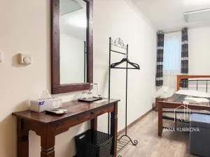 Pronájem ubytování, Valtice, Josefská, 251 m2