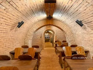 Pronájem ubytování, Valtice, Josefská, 251 m2