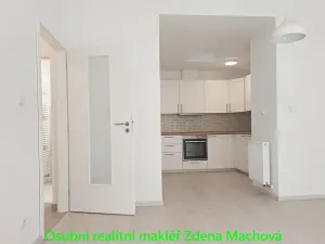 Prodej bytu 2+kk, Praha - Žižkov, Domažlická, 52 m2