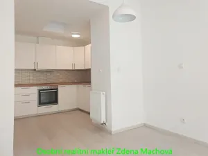 Prodej bytu 2+kk, Praha - Žižkov, Domažlická, 52 m2
