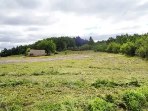 Prodej komerčního pozemku, Jesenice, Rekreační, 10738 m2