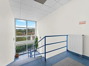 Pronájem kanceláře, Praha - Podolí, Pod Pekařkou, 12 m2