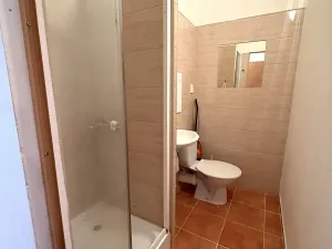 Pronájem bytu 1+kk, Plzeň, Na Dlouhých, 25 m2