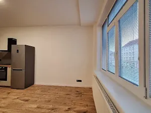 Pronájem bytu 2+kk, Praha, Bělohorská, 47 m2