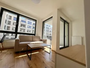 Pronájem bytu 1+kk, Praha - Nusle, Závišova, 33 m2